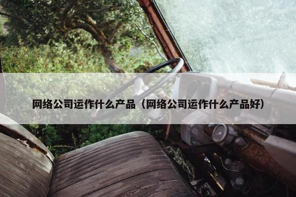 网络公司运作什么产品（网络公司运作什么产品好）