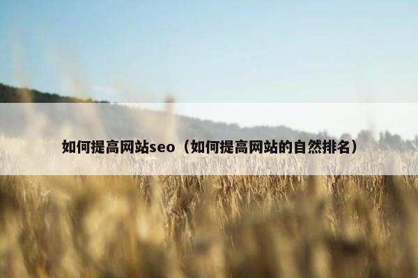 如何提高网站seo（如何提高网站的自然排名）
