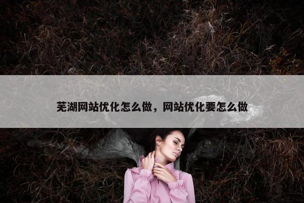 芜湖网站优化怎么做，网站优化要怎么做