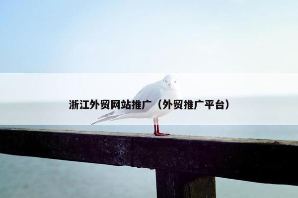 浙江外贸网站推广（外贸推广平台）