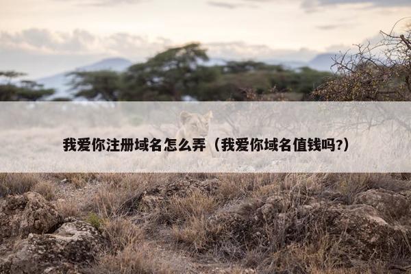 我爱你注册域名怎么弄（我爱你域名值钱吗?）