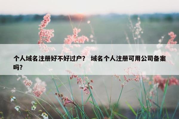 个人域名注册好不好过户？ 域名个人注册可用公司备案吗？