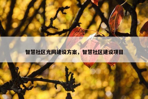 智慧社区光网建设方案，智慧社区建设项目