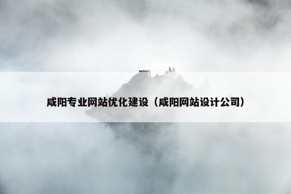 咸阳专业网站优化建设（咸阳网站设计公司）