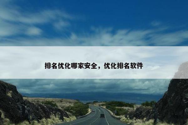 排名优化哪家安全，优化排名软件