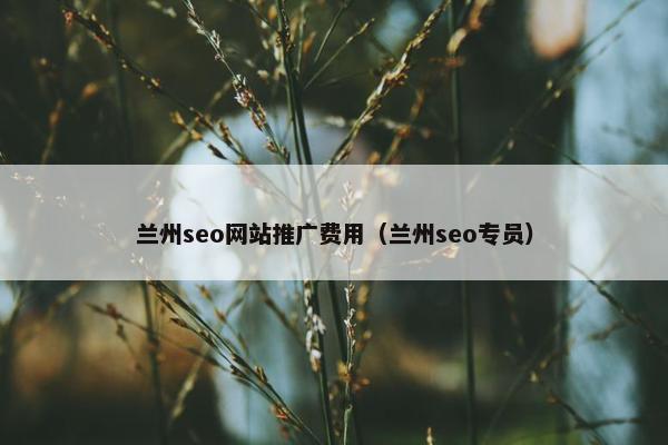 兰州seo网站推广费用（兰州seo专员）