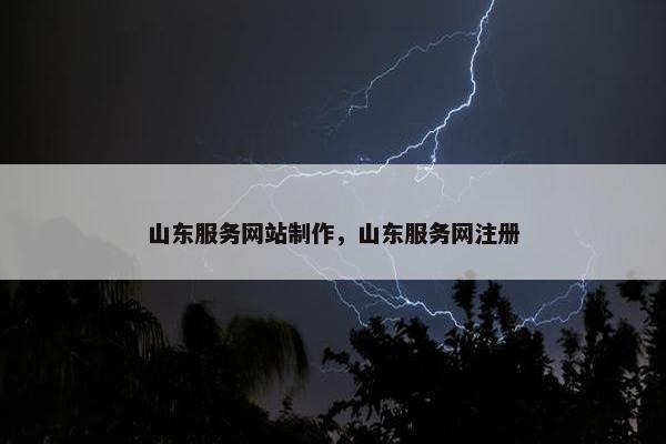 山东服务网站制作，山东服务网注册