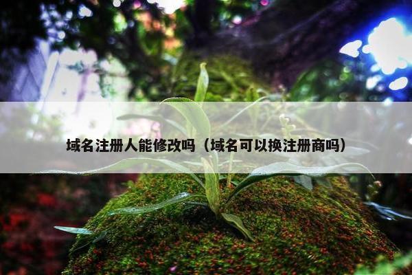 域名注册人能修改吗（域名可以换注册商吗）