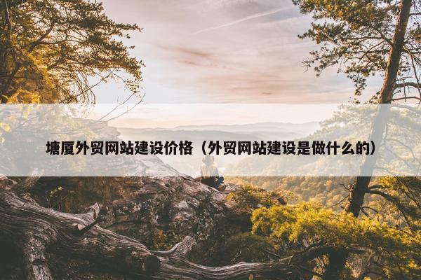 塘厦外贸网站建设价格（外贸网站建设是做什么的）