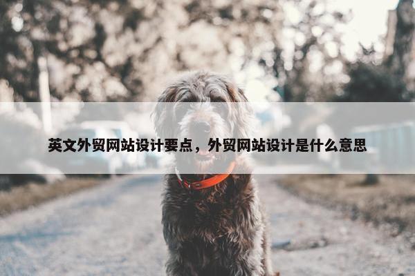 英文外贸网站设计要点，外贸网站设计是什么意思