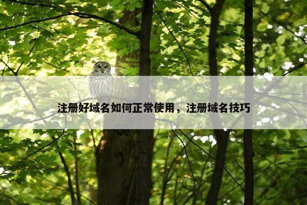 注册好域名如何正常使用，注册域名技巧
