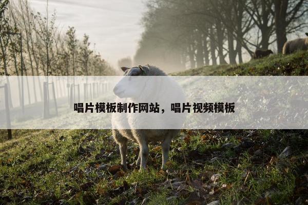 唱片模板制作网站，唱片视频模板