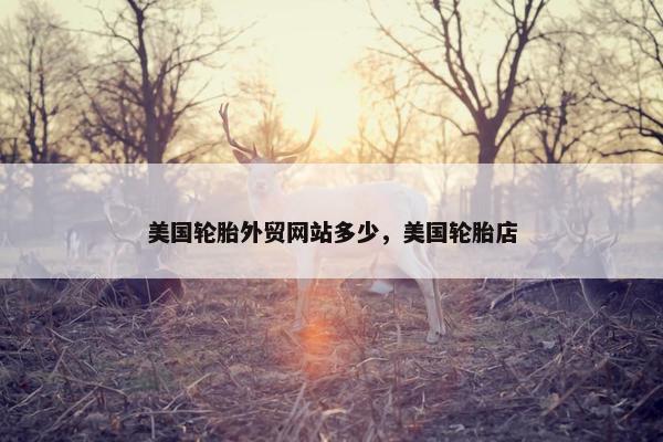 美国轮胎外贸网站多少，美国轮胎店