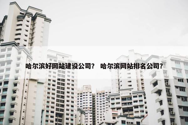 哈尔滨好网站建设公司？ 哈尔滨网站排名公司？