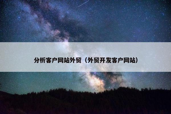 分析客户网站外贸（外贸开发客户网站）