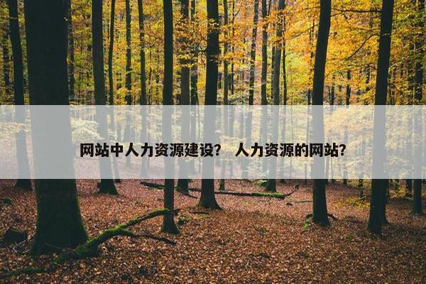 网站中人力资源建设？ 人力资源的网站？