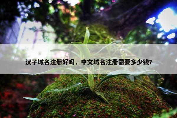 汉子域名注册好吗，中文域名注册需要多少钱?