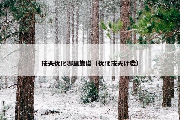 按天优化哪里靠谱（优化按天计费）