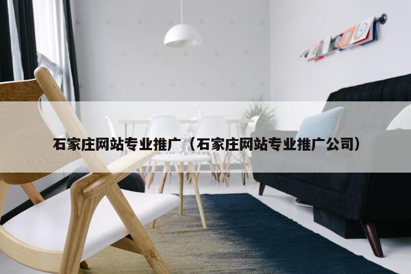 石家庄网站专业推广（石家庄网站专业推广公司）