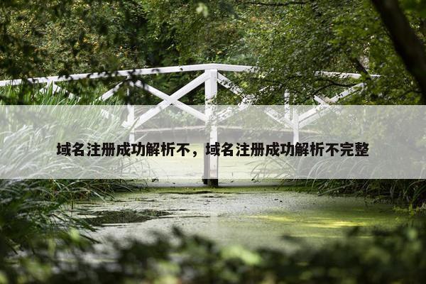 域名注册成功解析不，域名注册成功解析不完整