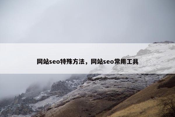 网站seo特殊方法，网站seo常用工具
