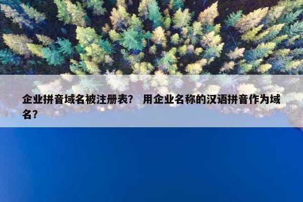 企业拼音域名被注册表？ 用企业名称的汉语拼音作为域名？