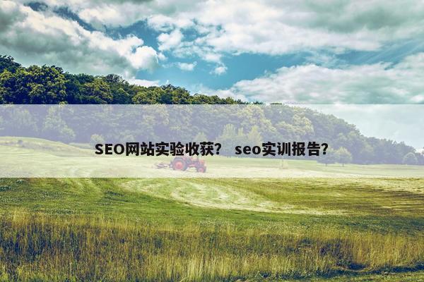 SEO网站实验收获？ seo实训报告？