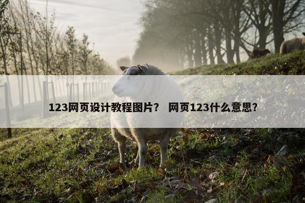 123网页设计教程图片？ 网页123什么意思？
