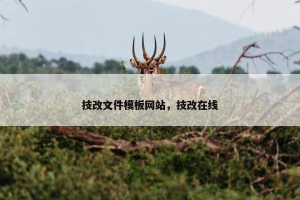 技改文件模板网站，技改在线