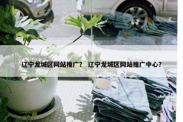 辽宁龙城区网站推广？ 辽宁龙城区网站推广中心？