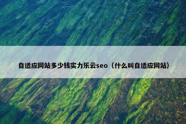 自适应网站多少钱实力乐云seo（什么叫自适应网站）