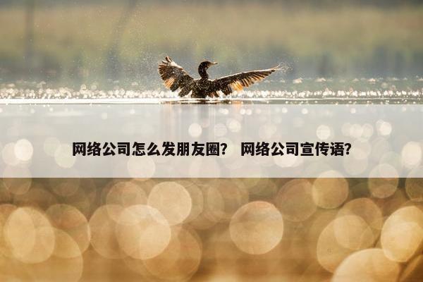 网络公司怎么发朋友圈？ 网络公司宣传语？
