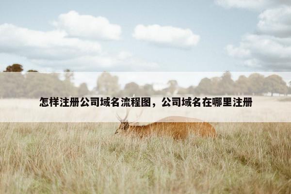 怎样注册公司域名流程图，公司域名在哪里注册