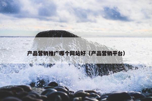 产品营销推广哪个网站好（产品营销平台）