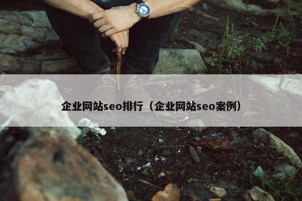 企业网站seo排行（企业网站seo案例）