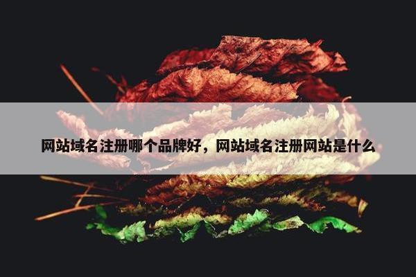 网站域名注册哪个品牌好，网站域名注册网站是什么