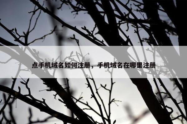 点手机域名如何注册，手机域名在哪里注册