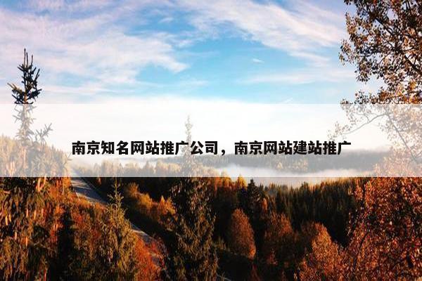 南京知名网站推广公司，南京网站建站推广