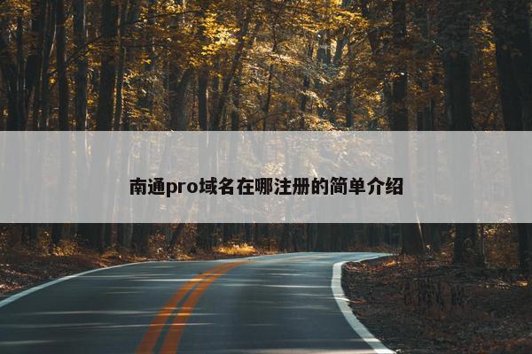 南通pro域名在哪注册的简单介绍