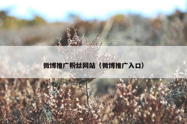 微博推广粉丝网站（微博推广入口）