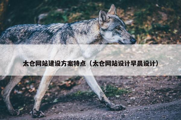 太仓网站建设方案特点（太仓网站设计早晨设计）