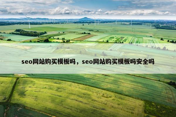 seo网站购买模板吗，seo网站购买模板吗安全吗