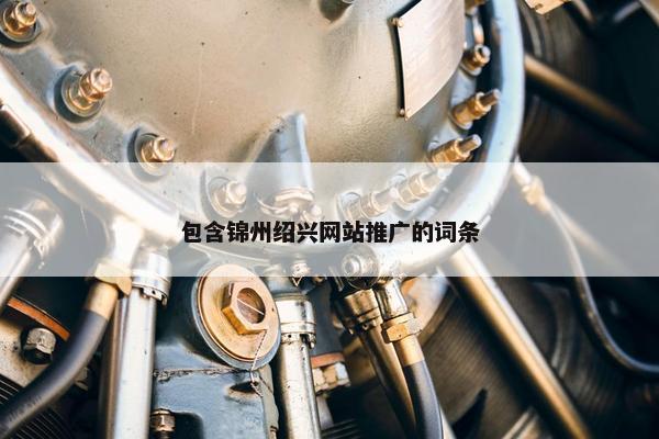 包含锦州绍兴网站推广的词条