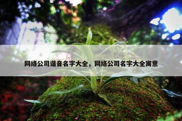 网络公司谐音名字大全，网络公司名字大全寓意