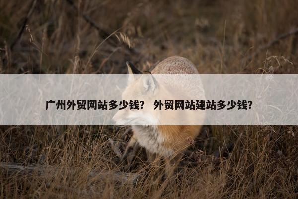 广州外贸网站多少钱？ 外贸网站建站多少钱？