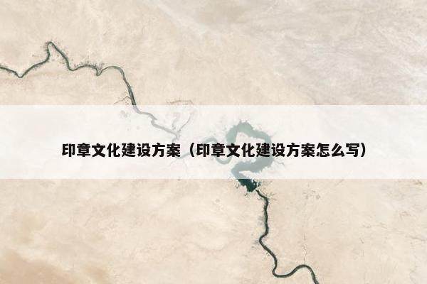 印章文化建设方案（印章文化建设方案怎么写）