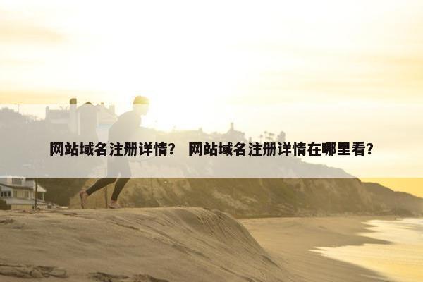 网站域名注册详情？ 网站域名注册详情在哪里看？