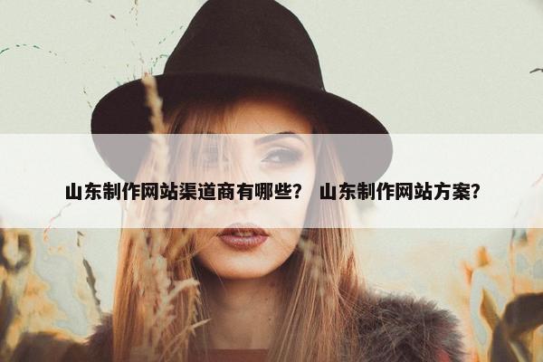 山东制作网站渠道商有哪些？ 山东制作网站方案？