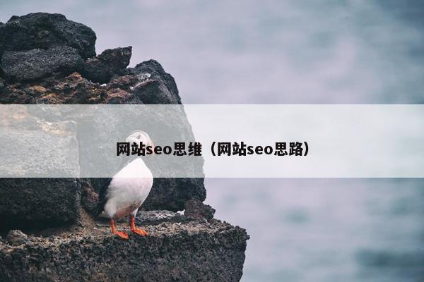 网站seo思维（网站seo思路）