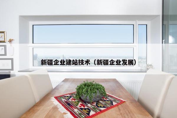 新疆企业建站技术（新疆企业发展）